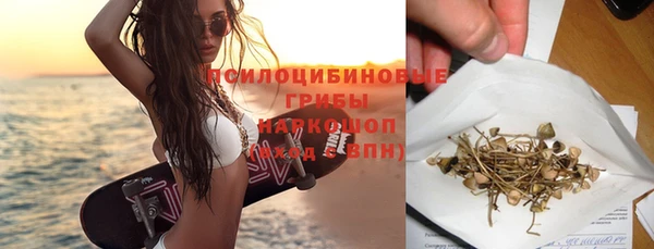 apvp Белокуриха