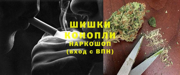 apvp Белокуриха